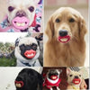 Funny Tooth Pacifier Pet Chew