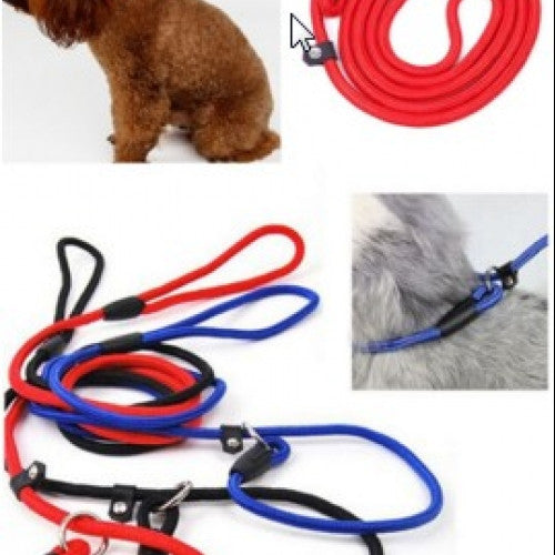 Training Leash Adjustable Traction Collar